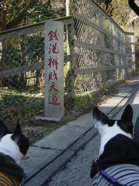 20090124_kamakura13.jpg