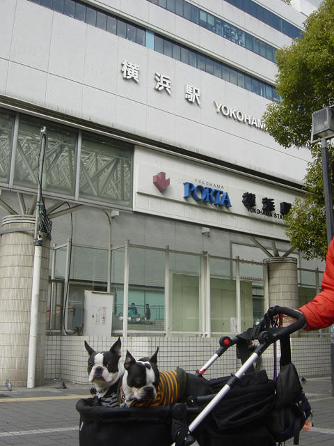 20090124_kamakura15.jpg
