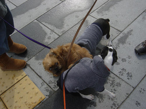 20090211_sanpo02.jpg