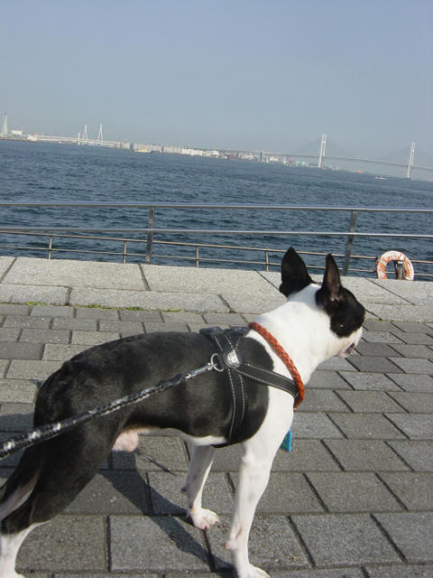 20090214_sanpo07.jpg