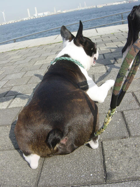 20090214_sanpo08.jpg
