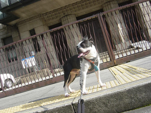 20090214_sanpo09.jpg