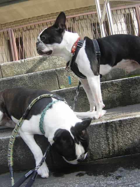 20090214_sanpo15.jpg