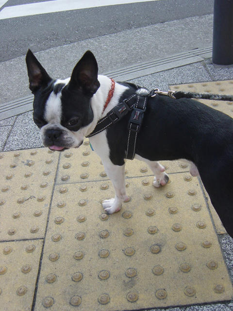 20090214_sanpo17.jpg