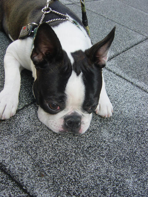 20090214_sanpo19.jpg