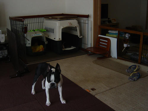 20090214_riving06.jpg