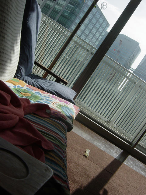 20090214_riving04.jpg