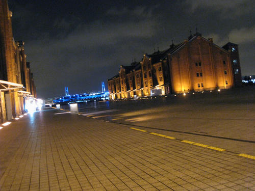 20090224_sanpo05.jpg