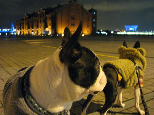 20090224_sanpo07.jpg