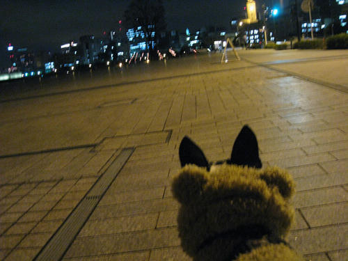 20090224_sanpo08.jpg