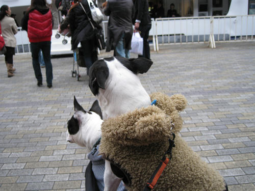 20090222_wanwan25.jpg