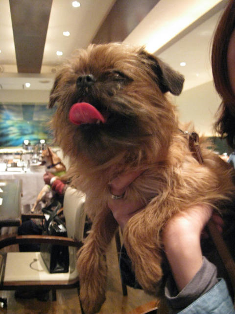 20090222_wanwan24.jpg