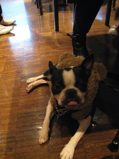 20090222_wanwan22.jpg