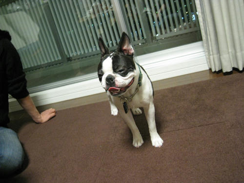 20090222_wanwan06.jpg