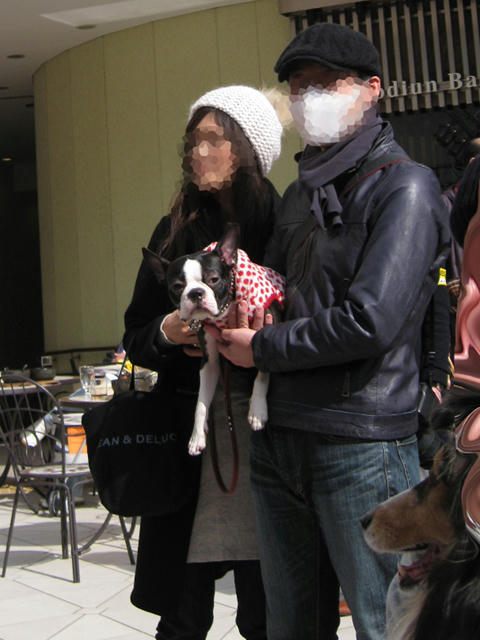 20090222_baydogfesta11.jpg