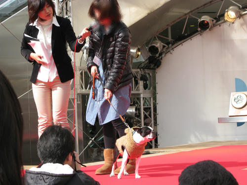 20090222_baydogfesta10.jpg