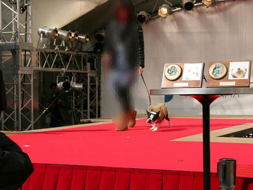 20090222_contest13.jpg