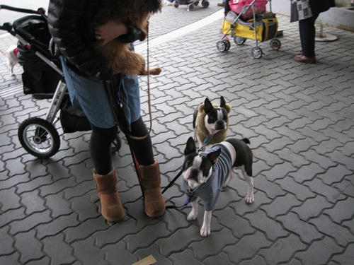 20090222_wanwan32.jpg