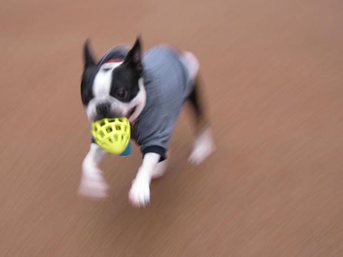 20090228_sanpo01.jpg