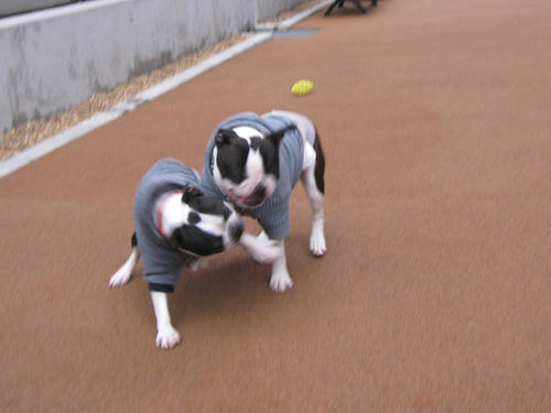 20090228_sanpo02.jpg