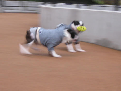 20090228_sanpo03.jpg