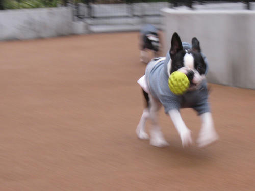 20090228_sanpo04.jpg