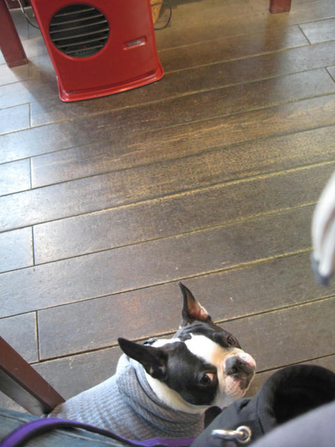 20090228_sanpo20.jpg