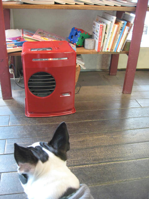 20090228_sanpo22.jpg