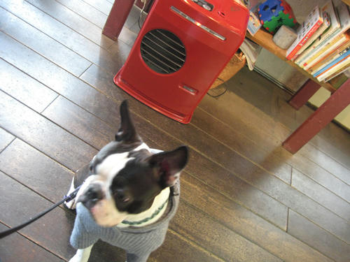 20090228_sanpo23.jpg