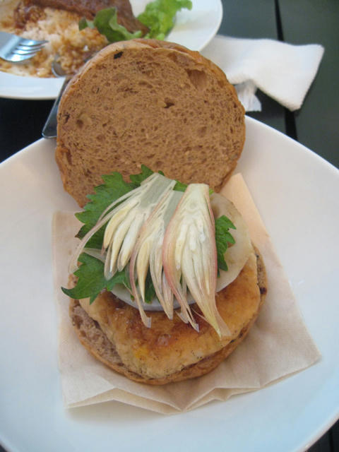 20090228_sanpo26.jpg