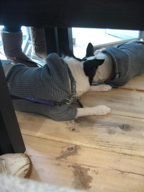 20090228_sanpo27.jpg