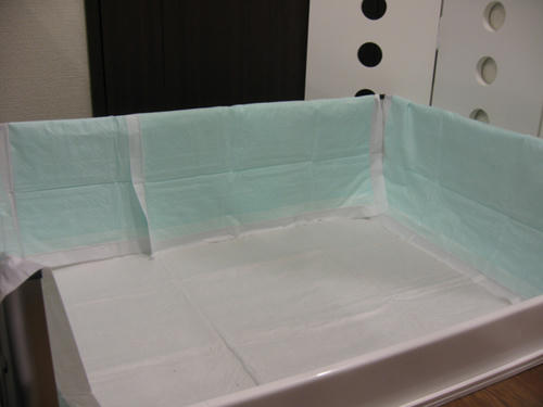 20090303_toilet06.jpg