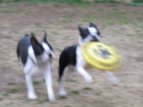 20090308_tc15.jpg
