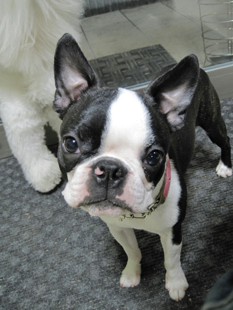 20090308_tc01.jpg