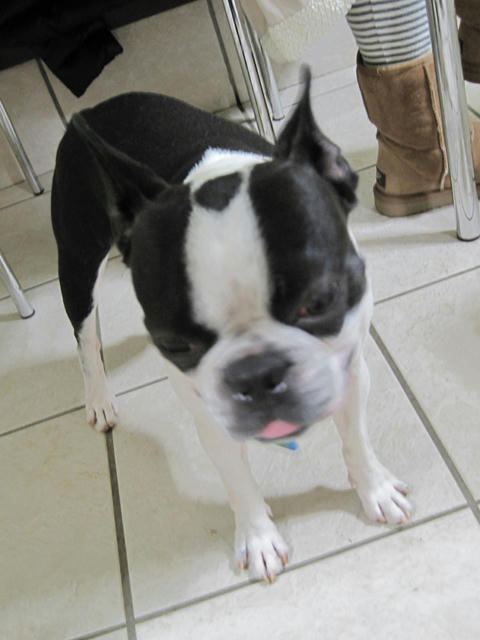 20090308_tc12.jpg