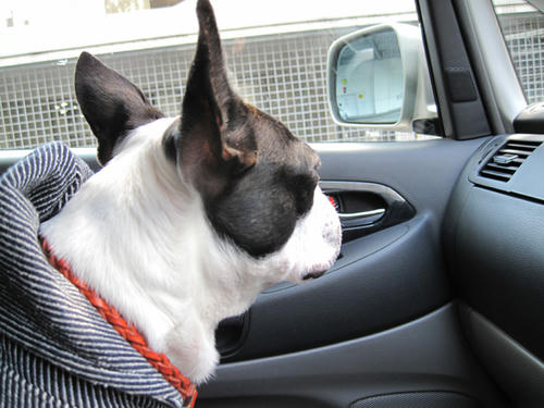 20090310_jonanjima_roku21.jpg
