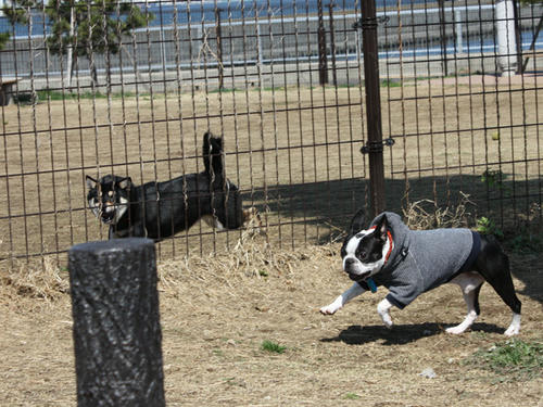 20090310_jonanjima_roku15.jpg