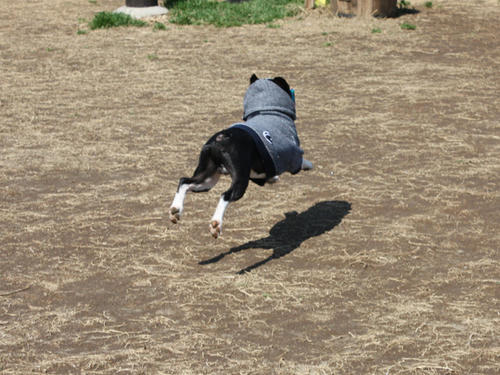 20090310_jonanjima_roku14.jpg