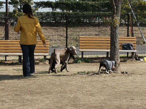 20090310_jonanjima_roku08.jpg