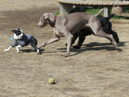 20090310_jonanjima_roku07.jpg