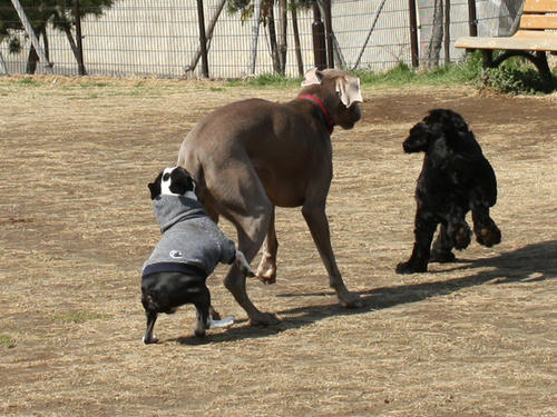 20090310_jonanjima_roku06.jpg