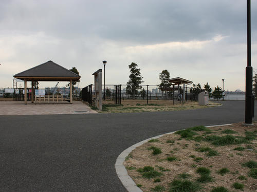 20090310_jonanjima_shio32.jpg
