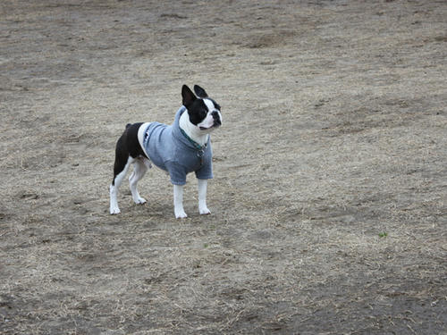 20090310_jonanjima_shio31.jpg