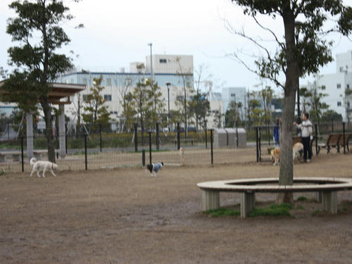 20090310_jonanjima_shio30.jpg