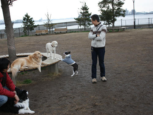 20090310_jonanjima_shio25.jpg