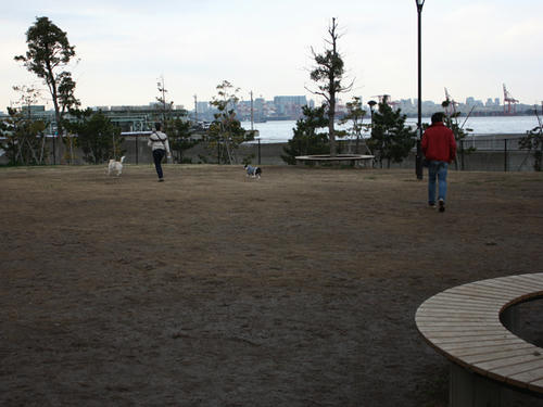 20090310_jonanjima_shio23.jpg