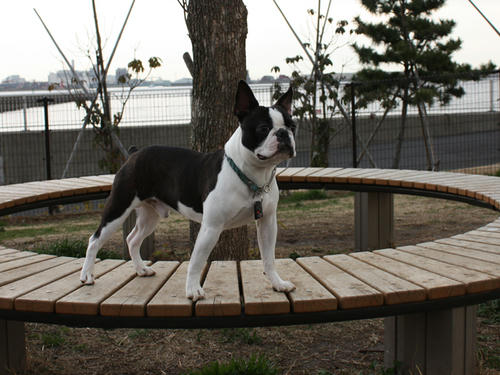 20090310_jonanjima_shio21.jpg