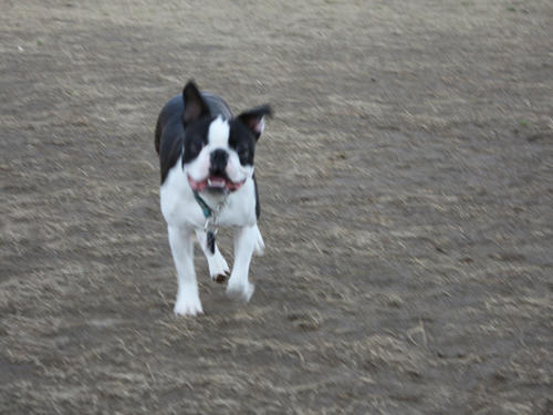 20090310_jonanjima_shio19.jpg
