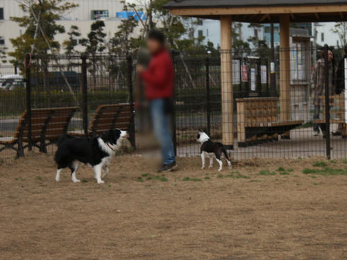 20090310_jonanjima_shio17.jpg