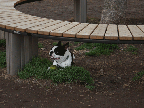 20090310_jonanjima_shio13.gif